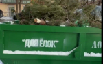 120 кубометров новогодних елок собрано в Самаре