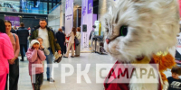 В Самаре гигантский кот обнимал гостей фестиваля "Пластилиновый дождь - 2025" - ГТРК Самара