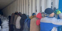 Полиция устроила облаву на нелегальных мигрантов в тепличном комплексе Волжского района - Волга Ньюс