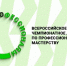 чемпионат профессионалы самара.jpg - СамГУПС