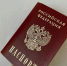 В России предложили ввести социальный паспорт - Губерния ТВ