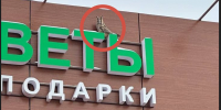 ЧП с филином в Ставропольском районе закончилось благополучно - Центр по делам гражданской обороны, пожарной безопасности и чрезвычайным ситуациям