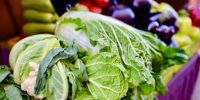 Эксперты назвали 4 богатых витаминами продукта - Губерния ТВ
