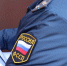 Судебные приставы заставили самарца выселить 9 кошек из захламленной квартиры - РегионСамара.Ru