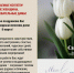 С Международным женским днем! Поздравление от ректора Самарского государственного аграрного университета Сергея Владимировича Машкова - Самарский ГАУ