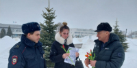 На территории Самарской области полицейские и общественники приняли участие в акции «8 Марта в каждый дом!» - ГУ МВД Самарской области