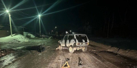 В Самарской области водитель "Нивы" насмерть сбил пешехода - Губерния ТВ