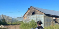 В Самарской области мужчина, обвиняемый в организации незаконной миграции, предстанет перед судом - Следственный комитет