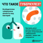 Всемирный день борьбы с туберкулёзом