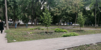 В Самаре в 2025 году благоустроят "Сквер Экономистов" - ProGorodSamara.Ru