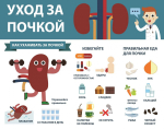 Туберкулёз почек