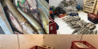 Суд вынес приговор инспектору Росрыболовства за торговлю краснокнижной рыбой - Волга Ньюс