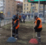 В Самаре с городских дорог вывезли более 700 кубометров мусора и листвы - Комсомольская Правда Самара