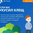 Самарцев предупредили о раннем сезоне клещей - ТРК Скат