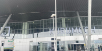 В Курумоче специалисты по карантину карантину не нашли вирусов - ProGorodSamara.Ru