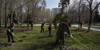 Месячник благоустройства в Самарской области завершится Всероссийским субботником - Губерния ТВ