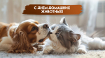 День домашних животных 11 апреля: праздник дружбы и преданности