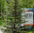 Открытие памятных стел запланировано на 5 мая в Загородном парке. - НИА Самара