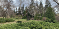 Стало известно, когда в Самаре откроется Ботанический сад - ГТРК Самара