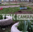 В Самаре зацвели первые тюльпаны утром 21 апреля: город скоро наполнится яркими красками - ГТРК Самара