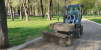 Из Самары вывезли более 21 тысячи кубометров мусора - Комсомольская Правда Самара