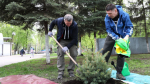 В Самаре в субботнике приняло участие свыше 50 тысяч человек