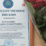 Родная мелодия – украшение души - Портал Все мы - Россия!