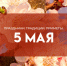 5 мая: Луков день, не пеките блины, чтобы не навлечь беду - ГТРК Самара