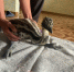 Брошенный в лесу эму попал в самарский приют - ГТРК Самара