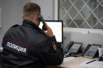 В Самарской области со двора женщины похитили легковушку и металлолом