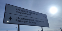 Через аэропорт Самары пропустили живых зверей, но забраковали мертвых - ГТРК Самара