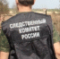 В настоящее время следователи СКР устанавливают все обстоятельства произошедшего. - НИА Самара