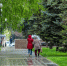В Самаре спилили две 50-летние ели на пересечении ул.Куйбышева и Льва Толстого - ГТРК Самара