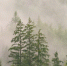 Nature Climate Change: Сибирская тайга озеленеет, а тропики высохнут к 2100 году - ProGorodSamara.Ru