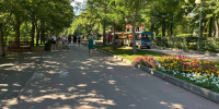 Загородный парк в Самаре приведут в порядок до конца 2025 года - ProGorodSamara.Ru