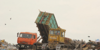 В Самаре ищут устроивших свалку в парке «Дубки» - Самарская Газета