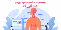 Эндокринная система - Городская поликлиника №13