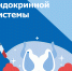 С 19 по 25 мая – Неделя профилактики заболеваний эндокринной системы (в честь Всемирного дня щитовидной железы 25 мая) #1 - Городская поликлиника №15
