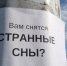 В Самаре интернет-гадалок сменили толкователи снов - ГТРК Самара