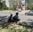 В Самаре скутер после падения водителя отбросило под легковушку на встречке - Комсомольская Правда Самара