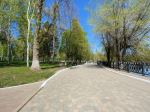 Озеро в самарском парке 50-летия Октября затянуло зелеными водорослями