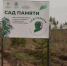 Более 143 тысяч саженцев было высажено в рамках акции "Сад памяти" в Самарской области - Губерния ТВ