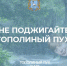 Самарцев предупреждают: тополиный пух – источник пожарной опасности - НИА Самара