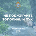 Самарцев предупреждают: тополиный пух – источник пожарной опасности