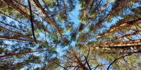 С 4 по 6 июня в Самарской области объявили желтый уровень опасности - SamaraGIS.Ru