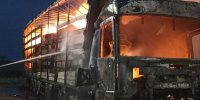 Под Самарой ночью 5 июня сгорела фура с листами ДСП - ProGorodSamara.Ru