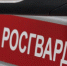В Новокуйбышевске росгвардейский экипаж задержал объявленного в федеральный розыск правонарушителя - НИА Самара