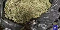 В Приволжском районе задержан местный житель, подозреваемый в незаконном хранении наркотических веществ - ProGorodSamara.Ru