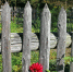 С 9 июня полностью будет запрещена установка заборов на даче: их заставят снести - ProGorodSamara.Ru