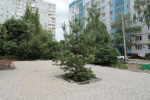 Выполнено благоустройство 8 дворовых территорий в Ленинском, Куйбышевском, и Советском районах.